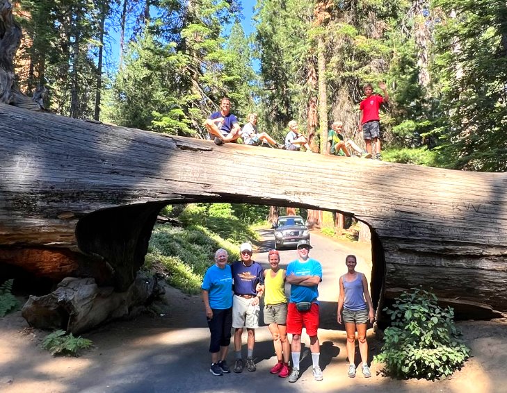 Sequoia National Park 3-Day Getaway