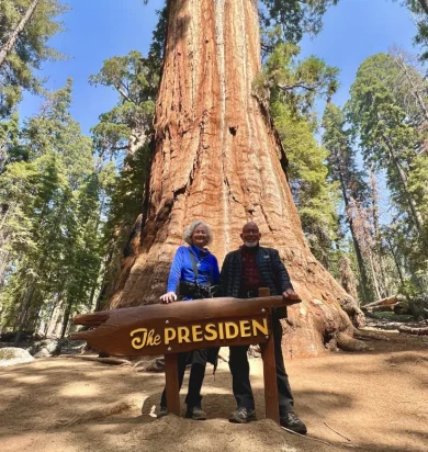 sequoia-national-park-tours.jpg
